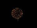 videos de 4 inch shell Golden Kamuro.wmv