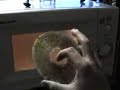 Burn Babe, Burn! (effective and cheap way to trash a DVD/CD)