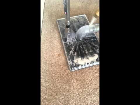 Best Carpet Cleaner Ever