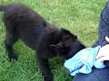 See video