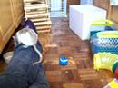 Rats in the kitchen again