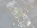 videos de Tribute to Tidus