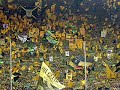 BvB Netradio Dortmund : Schalke 2:0