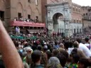 Tratta palio assunta2008: il bruco con elisir