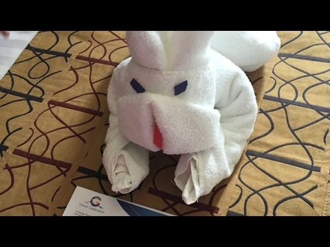 Testimonials from Travelers on their Cruise Experiences 032017