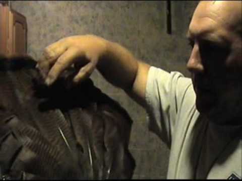 how to whiten turkey spurs