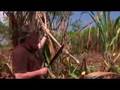 Sugarcane workers in the Dominican Republic - 16 Oct 07