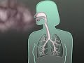 Nano Pollution and Health