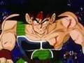 AMV Dbz Bardak-Bodies