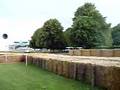 Goodwood Wacky Races