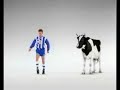 Fu�ballkuh