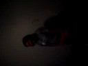 oxy cottin, lmfao