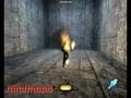 Thief Deadly Shadows Female Fire Shadow