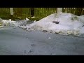 TRAXXAS E REVO VXL 1 16 fun on ice