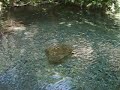 Fraga da Pena