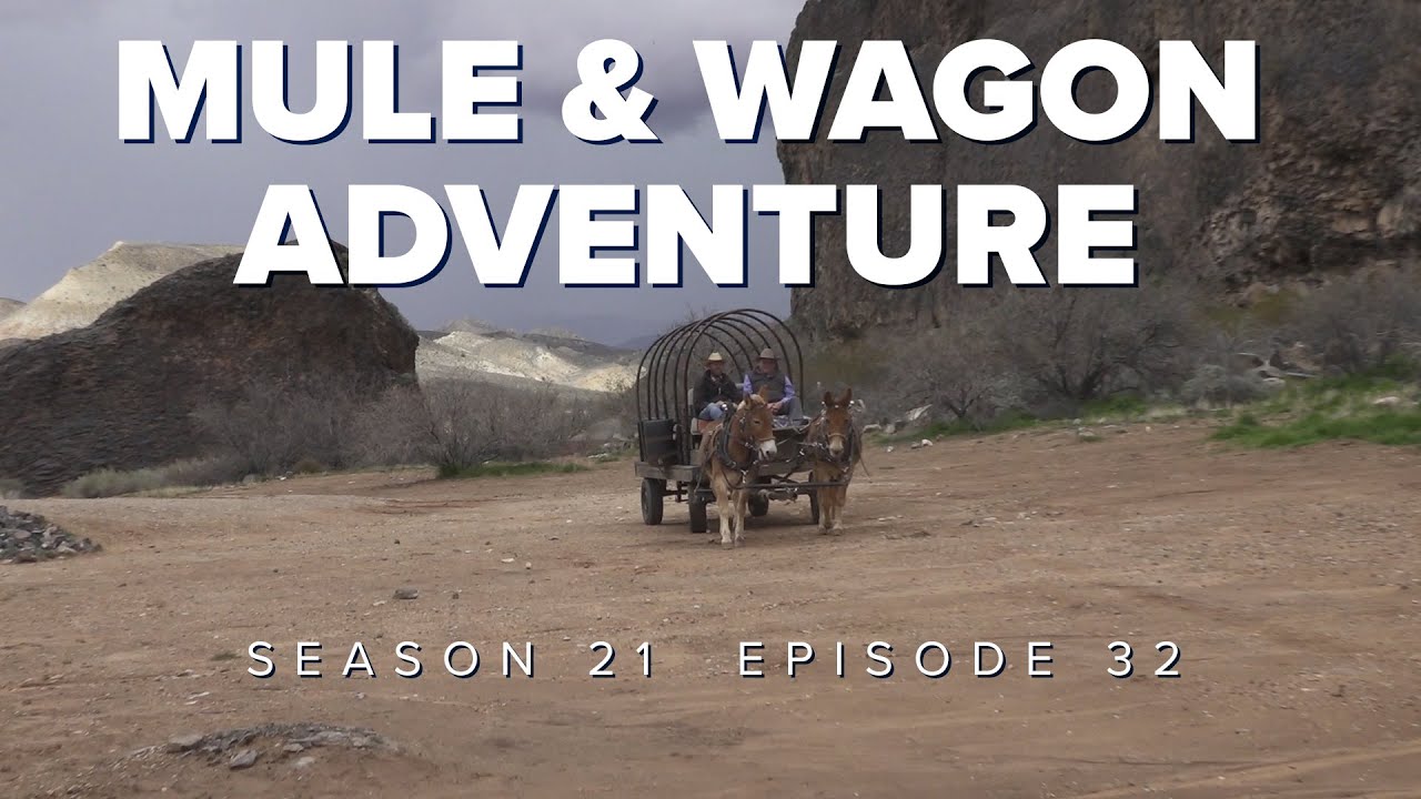 S21 E32 Mule & Wagon Riding Adventure