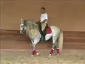 tango hb