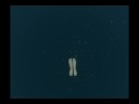 Tomb Raider Underworld Underwater Bug