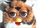 hey-mr-diddley.html