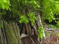 Harthill Copse, Liverpool