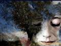 You Must Believe in Spring - DENISE JANNAH