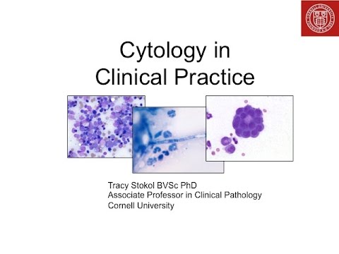 how to collect cytology specimen