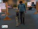 Flame: humoid biped robot