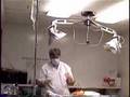 WARNING-ACTUAL C-SECTION SURGERY-BULLMASTIFF BABIES