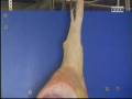 Ver Video