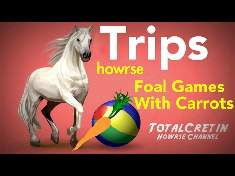 how to start off your ec on howrse