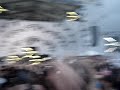 Eric Morillo At Ultra Music Festival 2007 Video 3