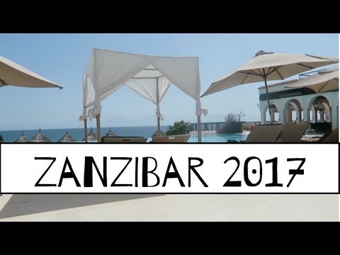 DAG 3; Vi bestiller SCUBA DIVE | Rejse-vlog
