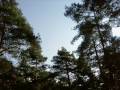 videos de Trois Rois d'Orient