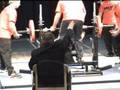 YouTube - Priscilla Ribic - Bench Press Norway 2006.