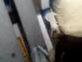 EL CHARAPA VICTIMA DE LOS COMPLICES DE NESTOR CARMEN...BUENA CABEZA DE PELOTA DE GATO¡