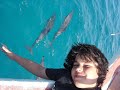 bernado, yago , nicolau