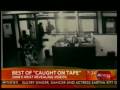 videos de Pigs Caught On Tape