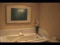 Bellagio Suite View Video
