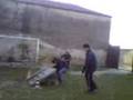videos de molle in azione