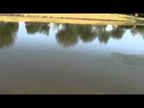 Turkey Lake - watch in HD......vinnerbaits wavefishing.