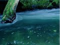 Scarlatti - Sonata L. 391