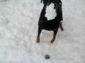 videos de malu nevada