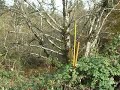 LandsofAmerica.com: 0.39 acres in Oregon