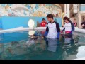 Venti anni di Cetacea