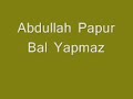 Abdullah-Papur-Bal-Y
