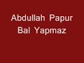 Abdullah-Papur-Bal-Y
