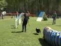 Competición Agility Girona