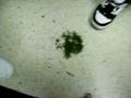 videos de Nike Cleaning His Shoe