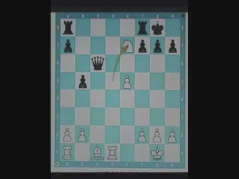 chess tactics chess tactics