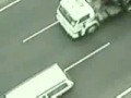 videos de Dog saving another dog